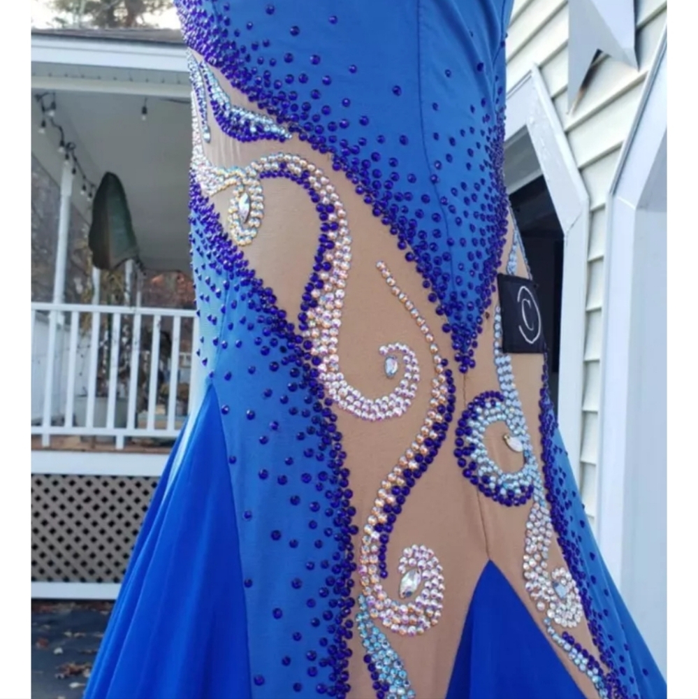 Chrisanne Clover Ballroom Smooth Dress!! - Picture 3 of 4